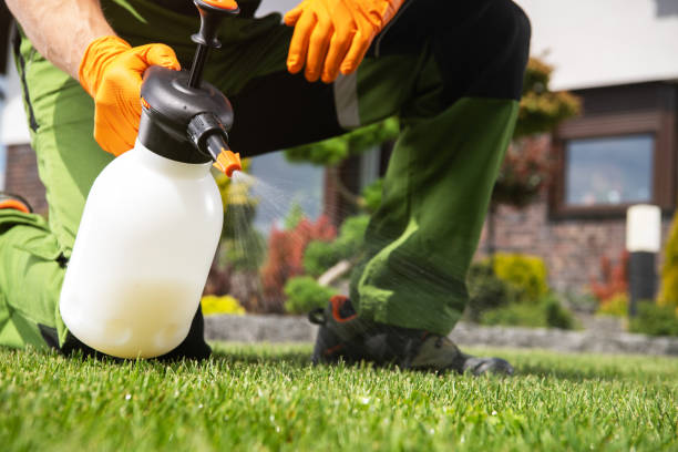 Best Mosquito Control Services  in Sparta, TN