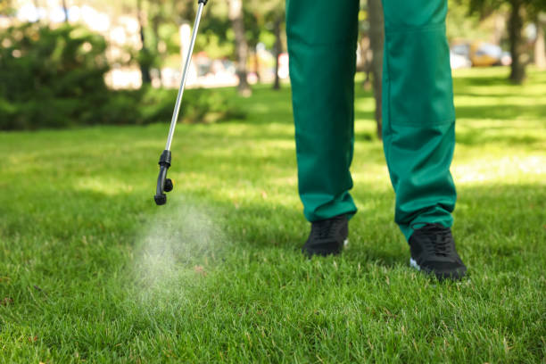 Trusted Sparta, TN Pest Control Experts