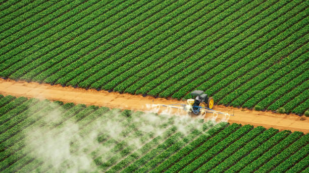 Best Best Pest Control Companies  in Sparta, TN
