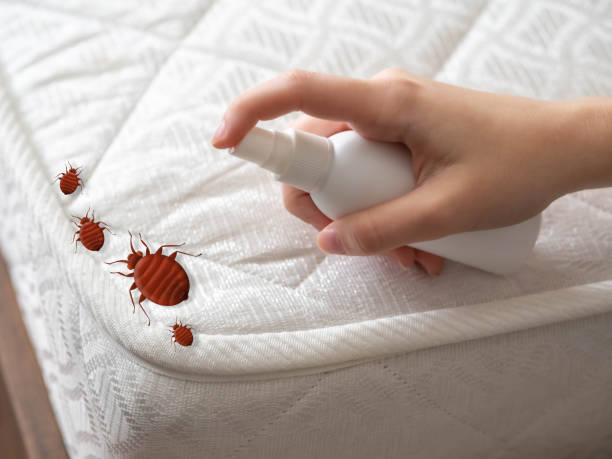 Best Emergency Pest Control  in Sparta, TN