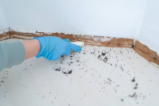 Best Affordable Pest Control Services  in Sparta, TN