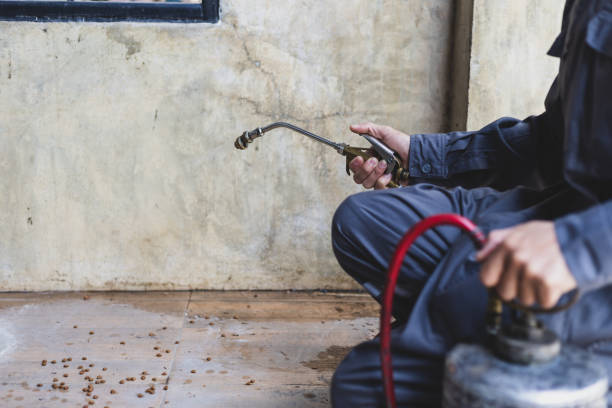 Best Exterminator Services  in Sparta, TN
